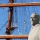 The statue of Joseph Conrad in Gdynia